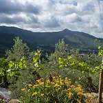 Podere Del Pari * Calci