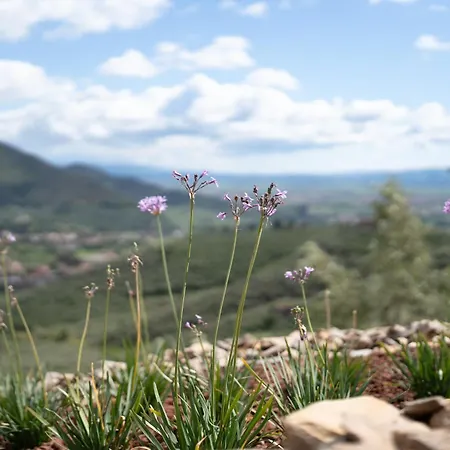Сasa de vacaciones Podere Del Pari