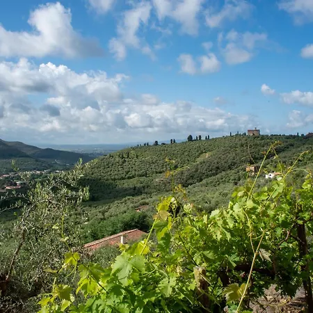 Podere Del Pari カルチ