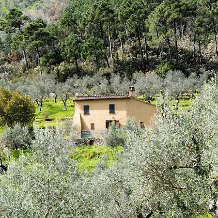 Podere Del Pari Кальчи