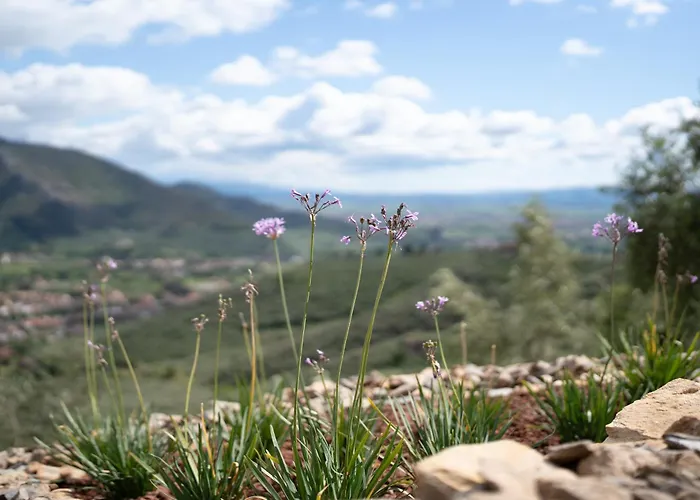 Дом отдыха Podere Del Pari