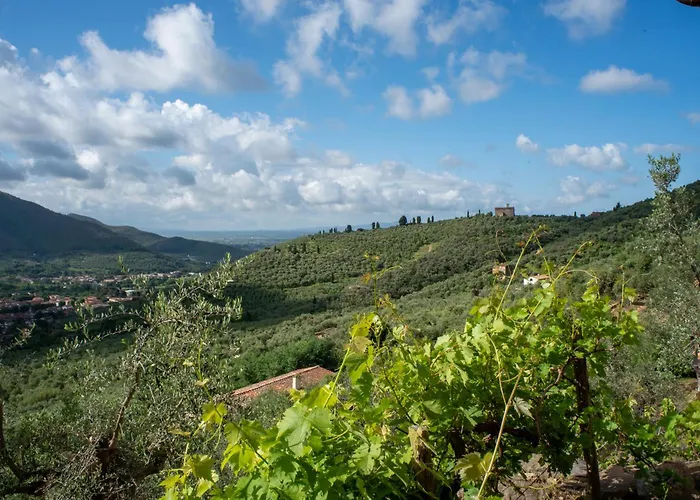 Podere Del Pari Кальчи