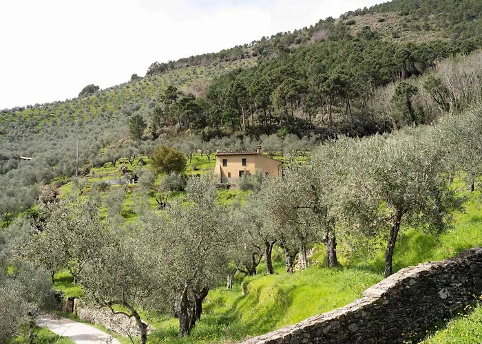 Podere Del Pari *