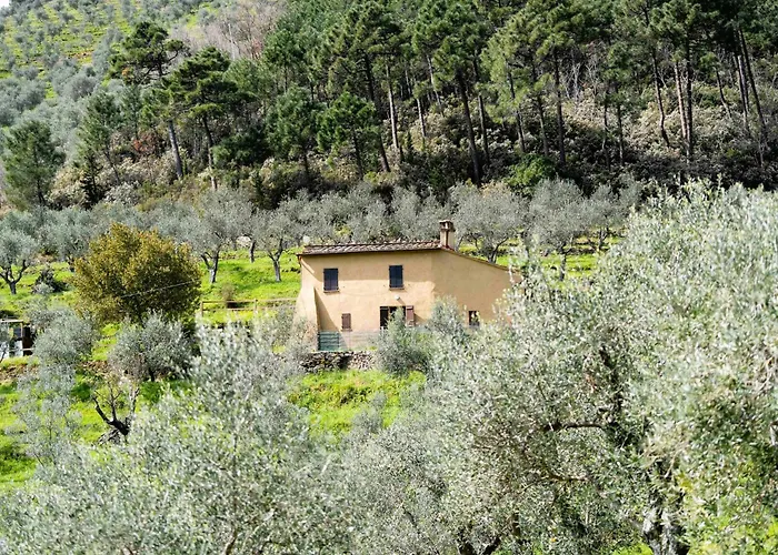 Podere Del Pari Кальчи